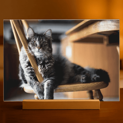 Fotografia pupila - Druk na szkle, spersonalizowany prezent - idamell.com