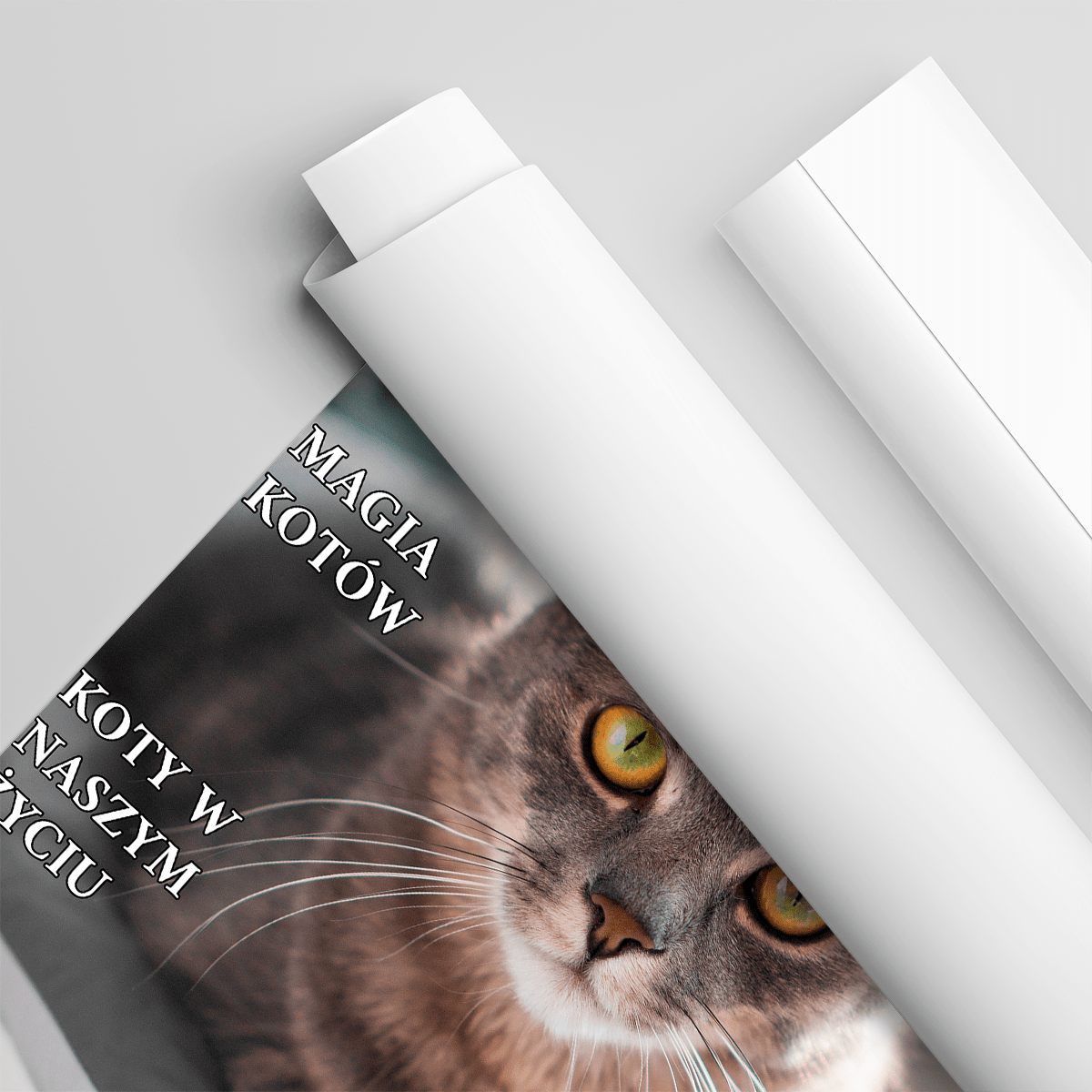 Kotmopolitan - plakat, spersonalizowany prezent dla właściciela kota - idamell.com