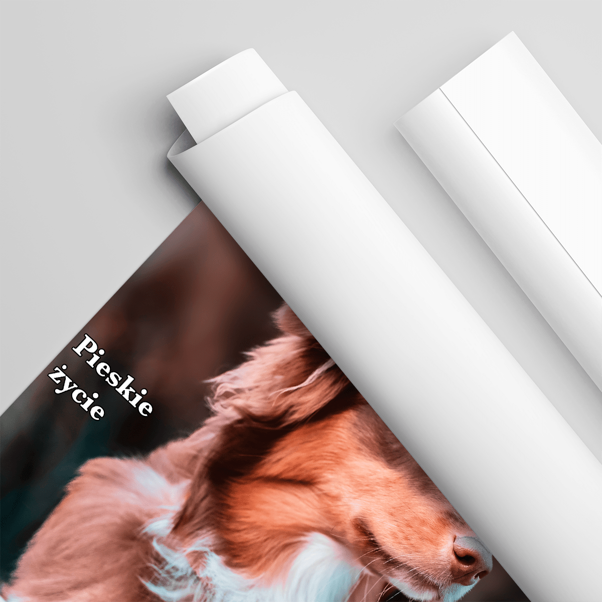 Magazyn Dogbes - plakat, spersonalizowany prezent dla właściciela psa - idamell.com