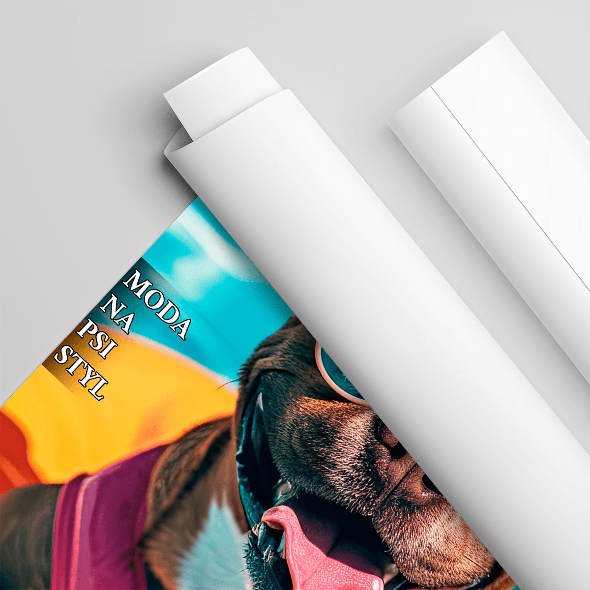 Magazyn Dogue - plakat, spersonalizowany prezent dla właściciela psa - idamell.com