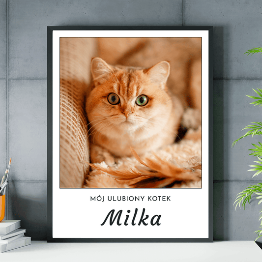 Mój kotek - plakat, spersonalizowany prezent dla właściciela kota - idamell.com