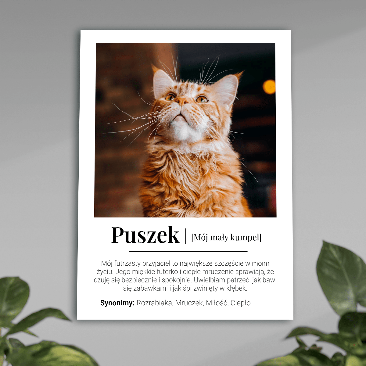 Mój mały przyjaciel - plakat, spersonalizowany prezent dla właściciela kota - idamell.com