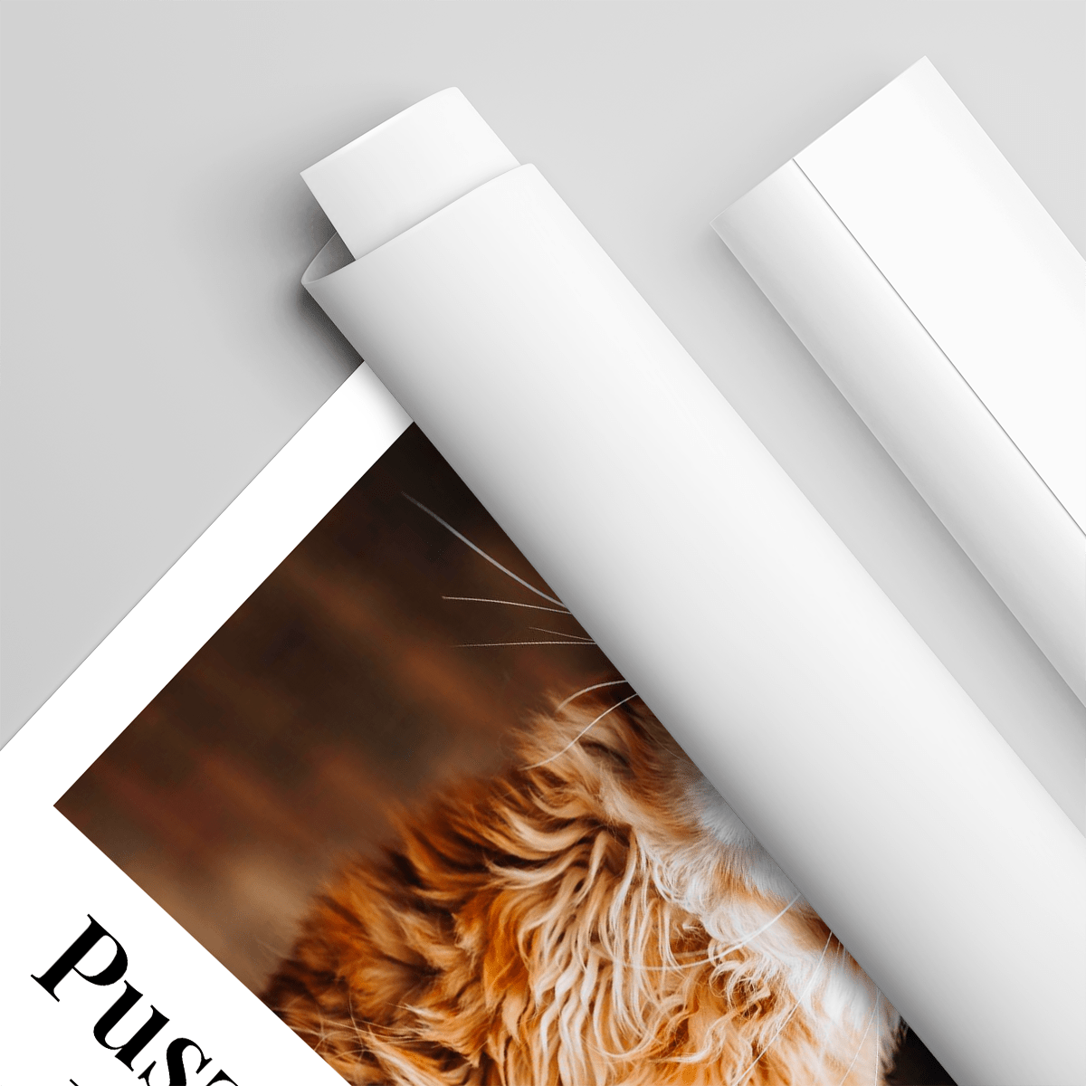 Mój mały przyjaciel - plakat, spersonalizowany prezent dla właściciela kota - idamell.com