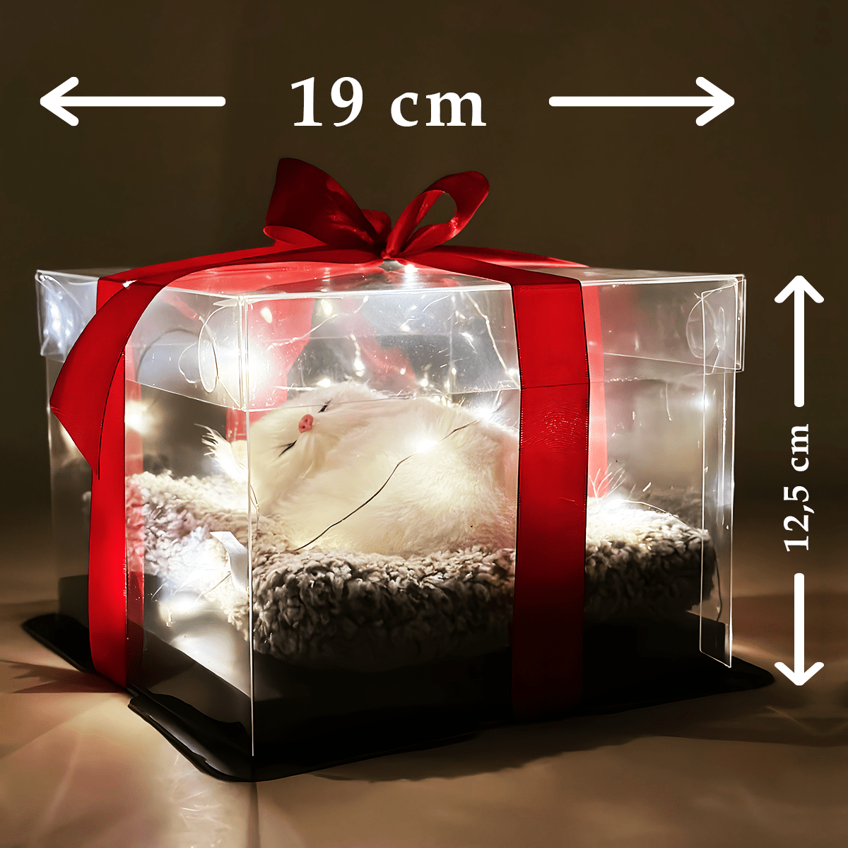 Biały kot na poduszce + LED - kot w pudełku, oryginalny prezent dla niej - idamell.com