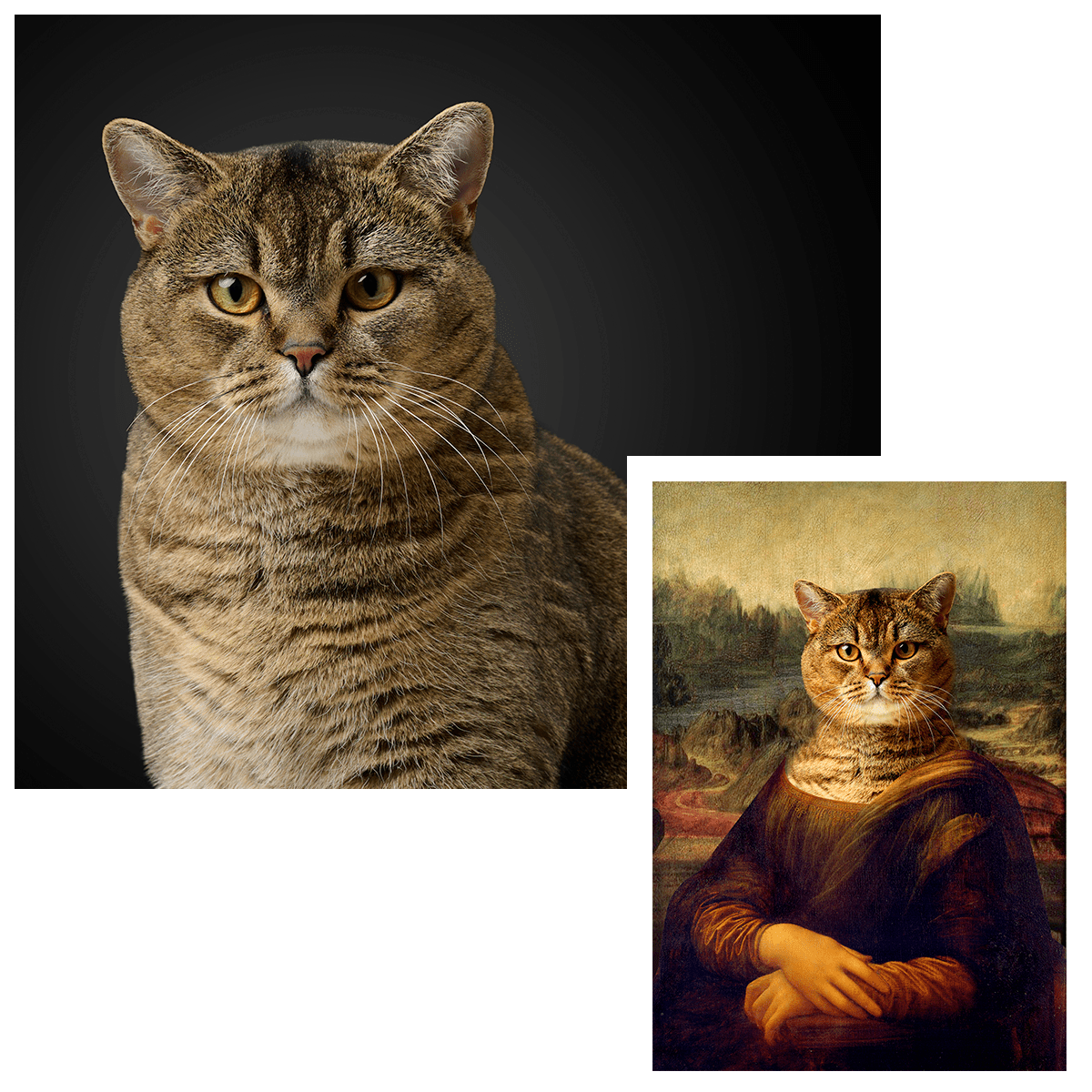 Portret Mona Lisa kot - druk na płótnie, spersonalizowany prezent - idamell.com