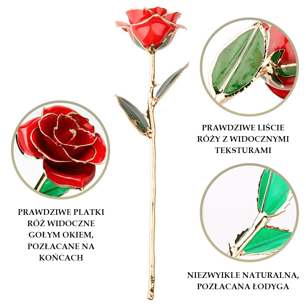 Wieczna Róża, Otulona 24K Złotem, Wymarzony prezent dla żony, teściowej, świadkowej, dla par, na dzień matki, na parapetówkę, na mikołajki, świąteczny - idamell.com